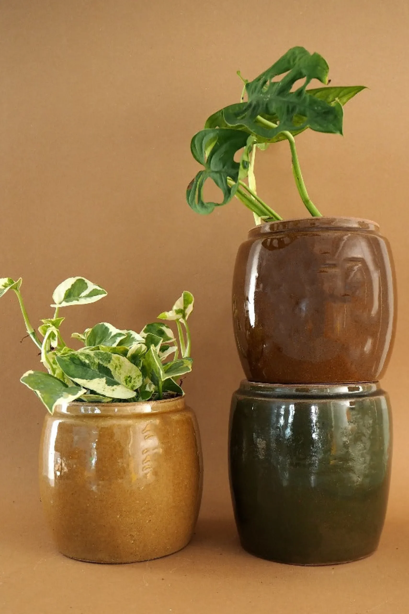 PLANT Berit, brun ø 12 cm Online