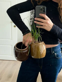 PLANT Berit, brun ø 12 cm Online