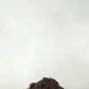 PLANT Bonsai jord