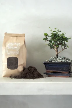 PLANT Bonsai jord