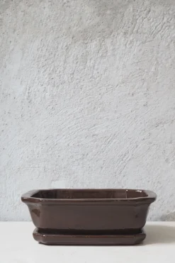 PLANT Bonsai krukke Discount