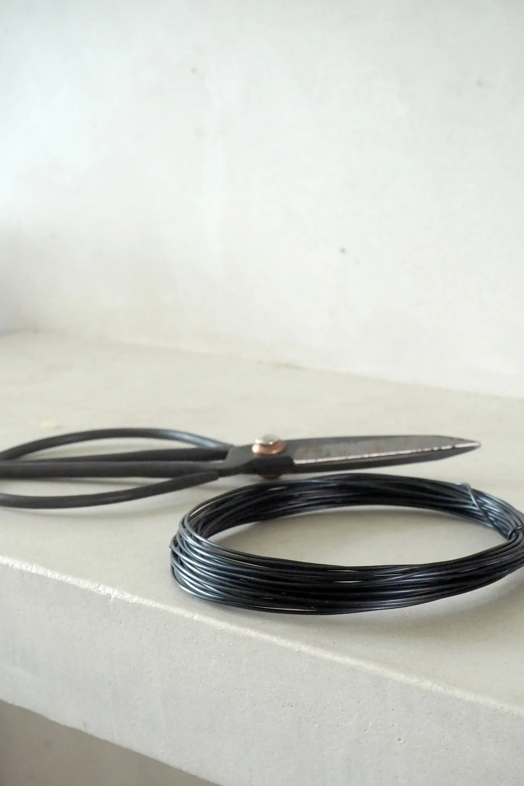 PLANT Bonsai Wire, Sort Discount