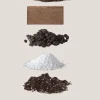 PLANT Bundle : Essential omning Clearance