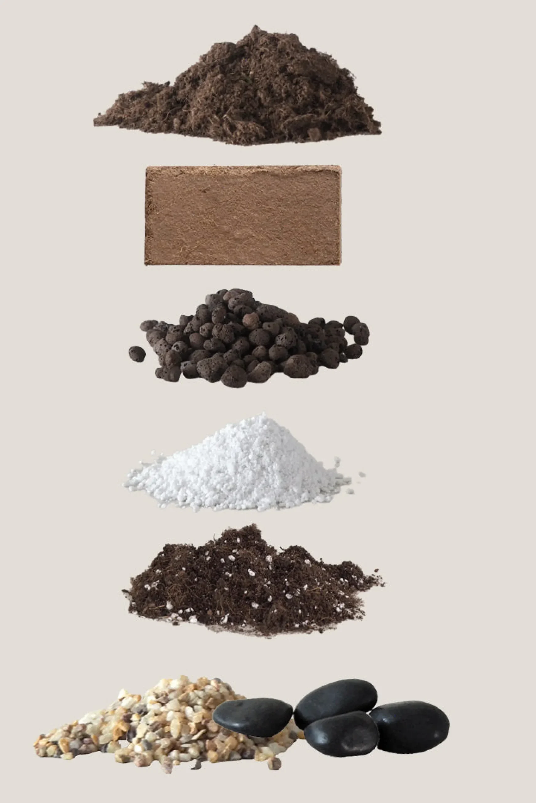 PLANT Bundle : Essential omning Clearance
