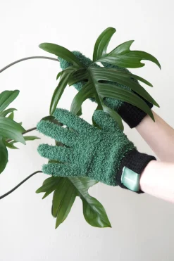 PLANT Bundle : Pro epleje Clearance