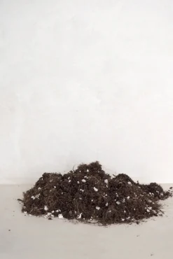 PLANT Bundle : Pro epleje Clearance