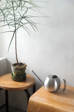 PLANT Bundle: Essential vanding Outlet