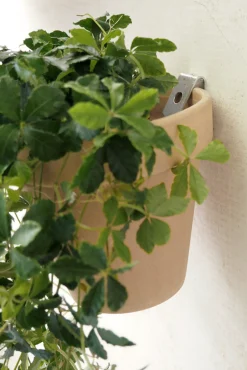 PLANT Clippy vægophæng
