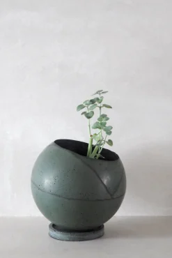 PLANT Dirty Roots - Tau Ceti Online