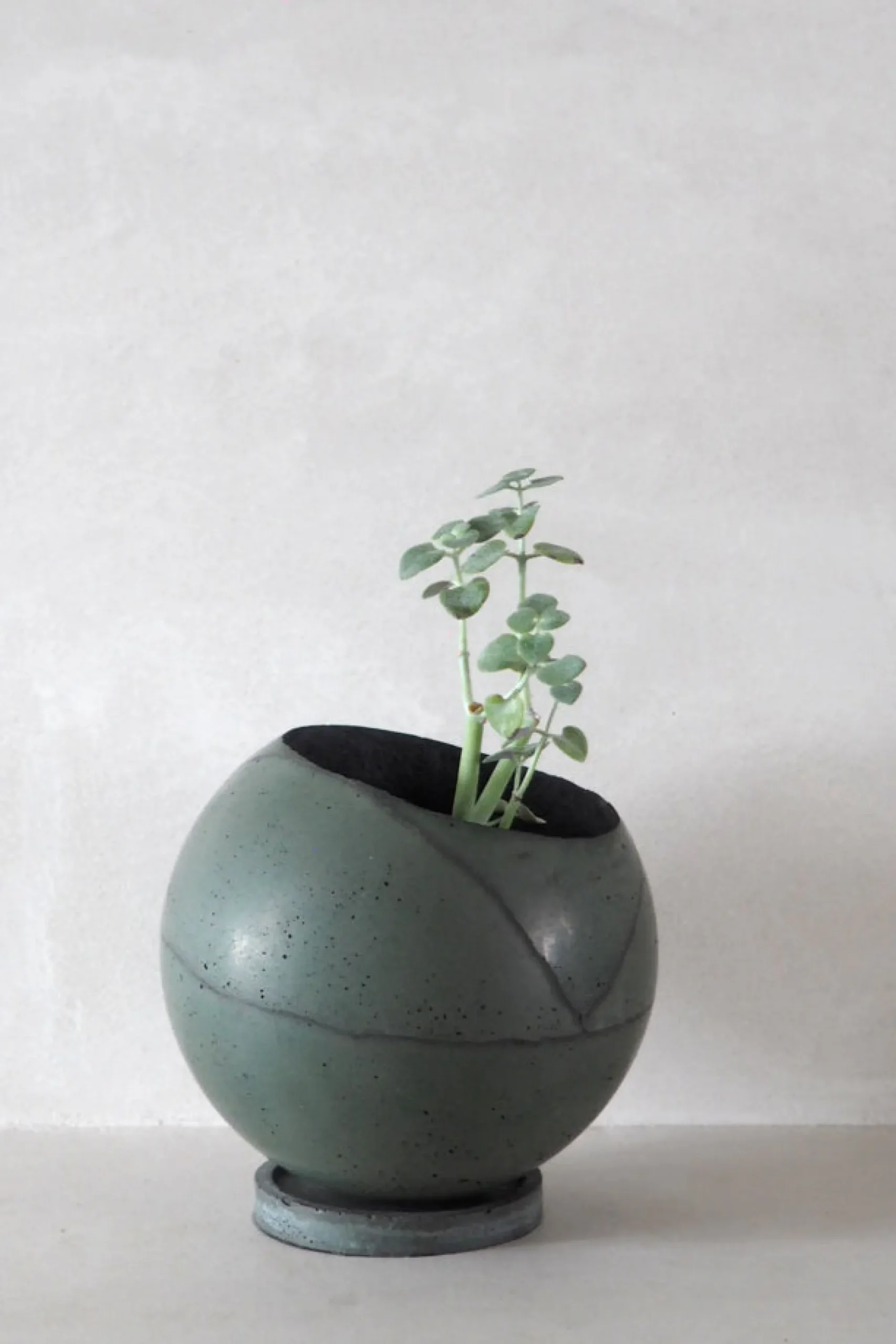 PLANT Dirty Roots - Tau Ceti Online