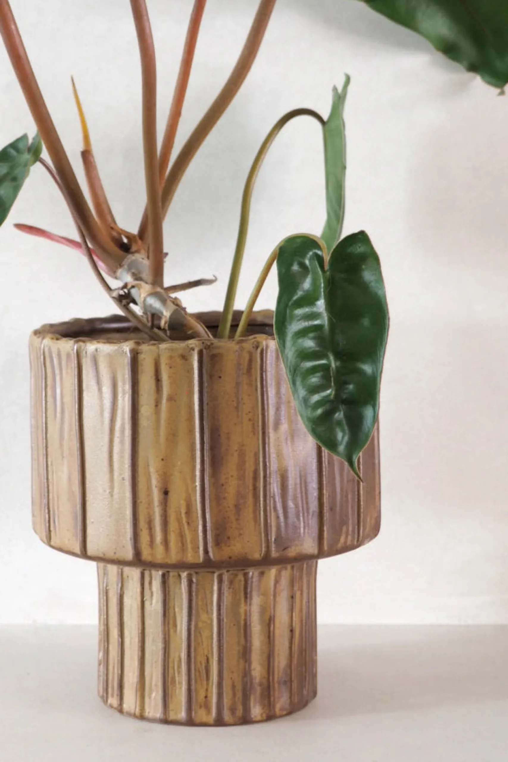PLANT Elitta krukke Sale