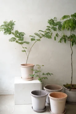 PLANT Emilia krukke, raw grey Clearance