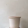 PLANT Emilia krukke, raw rosa New