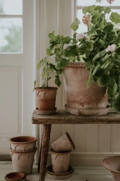 PLANT Emilia krukke, raw rosa New