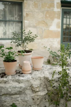 PLANT Emilia krukke, raw rosa New