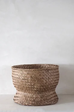 PLANT Flet krukke, stor Hot