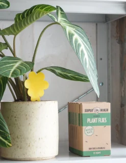 PLANT Fluefanger Online