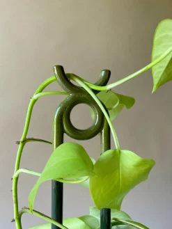 PLANT FOLK oni estøtte, grøn Hot