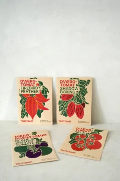 PLANT Frø - Dværg-tomat / Shadow boxing Hot