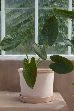 PLANT Galestro gulvkrukke, raw rosa Outlet