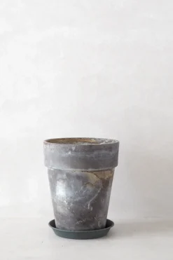 PLANT Gartnerkrukke, naturlig patina Best