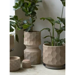 PLANT Gro krukke Hot