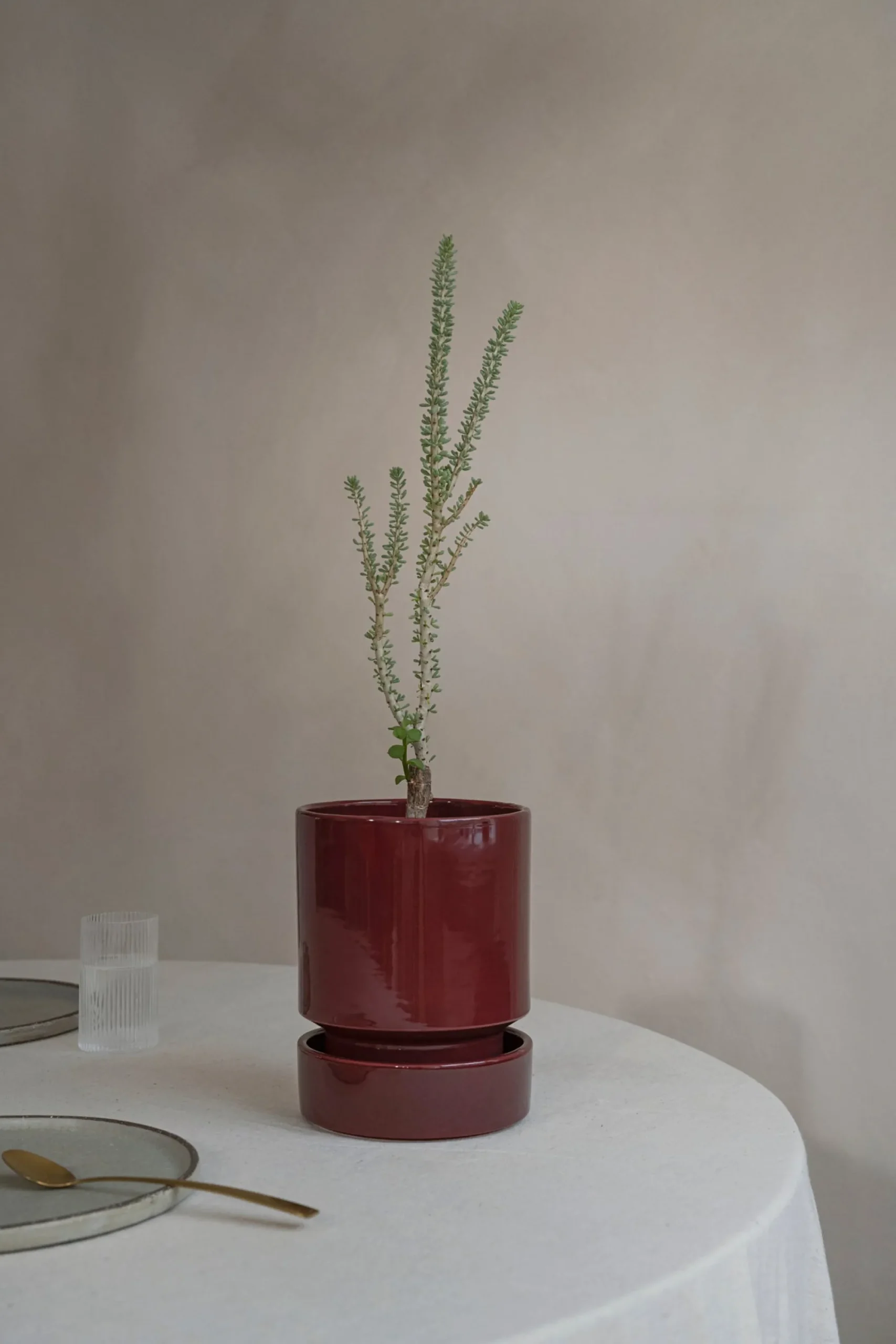 PLANT Hoff krukke, glaseret, Burgundy Best