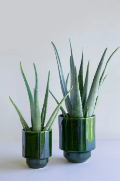 PLANT Hoff krukke, glaseret, Grøn Clearance