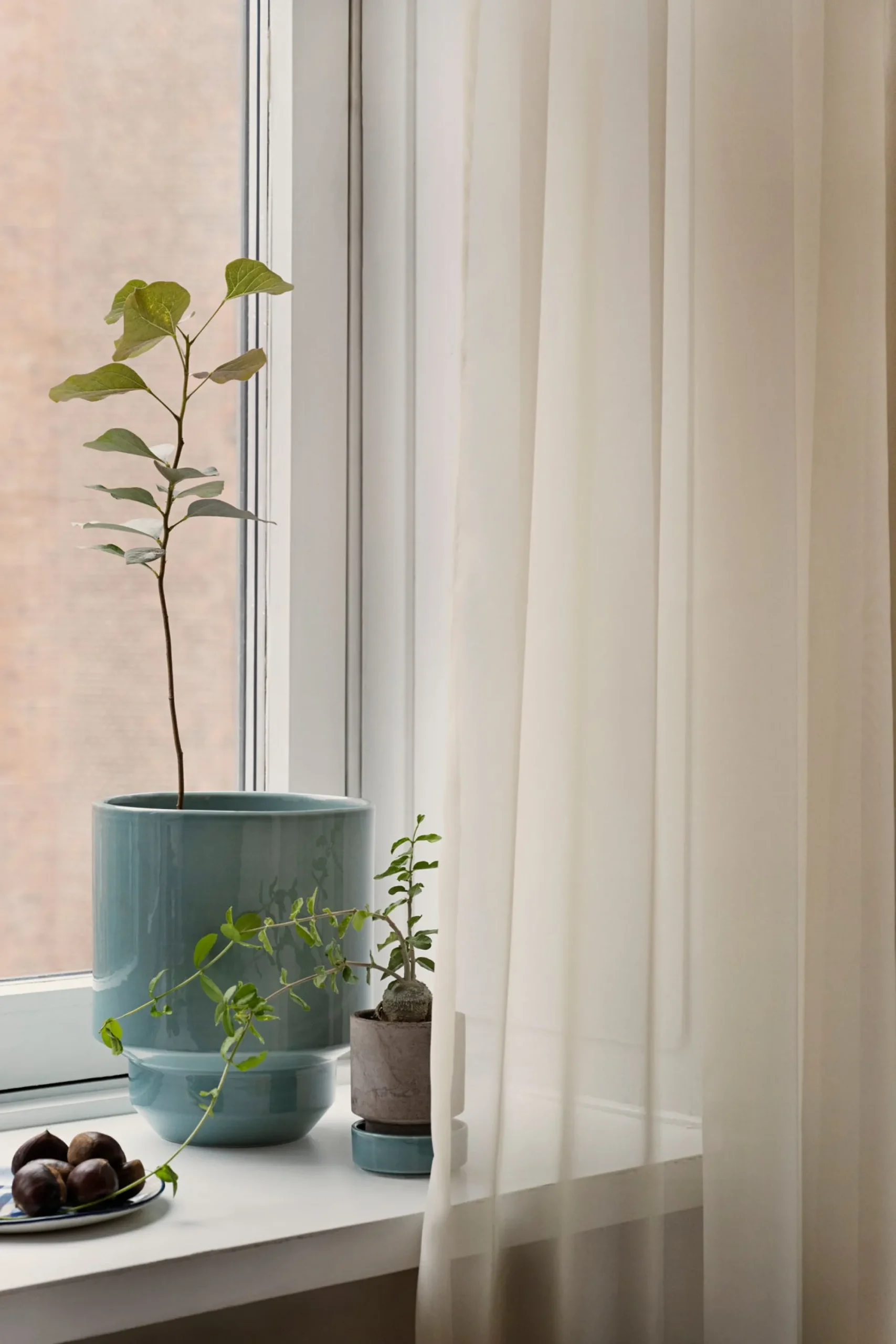 PLANT Hoff krukke, glaseret, Misty Blue Outlet