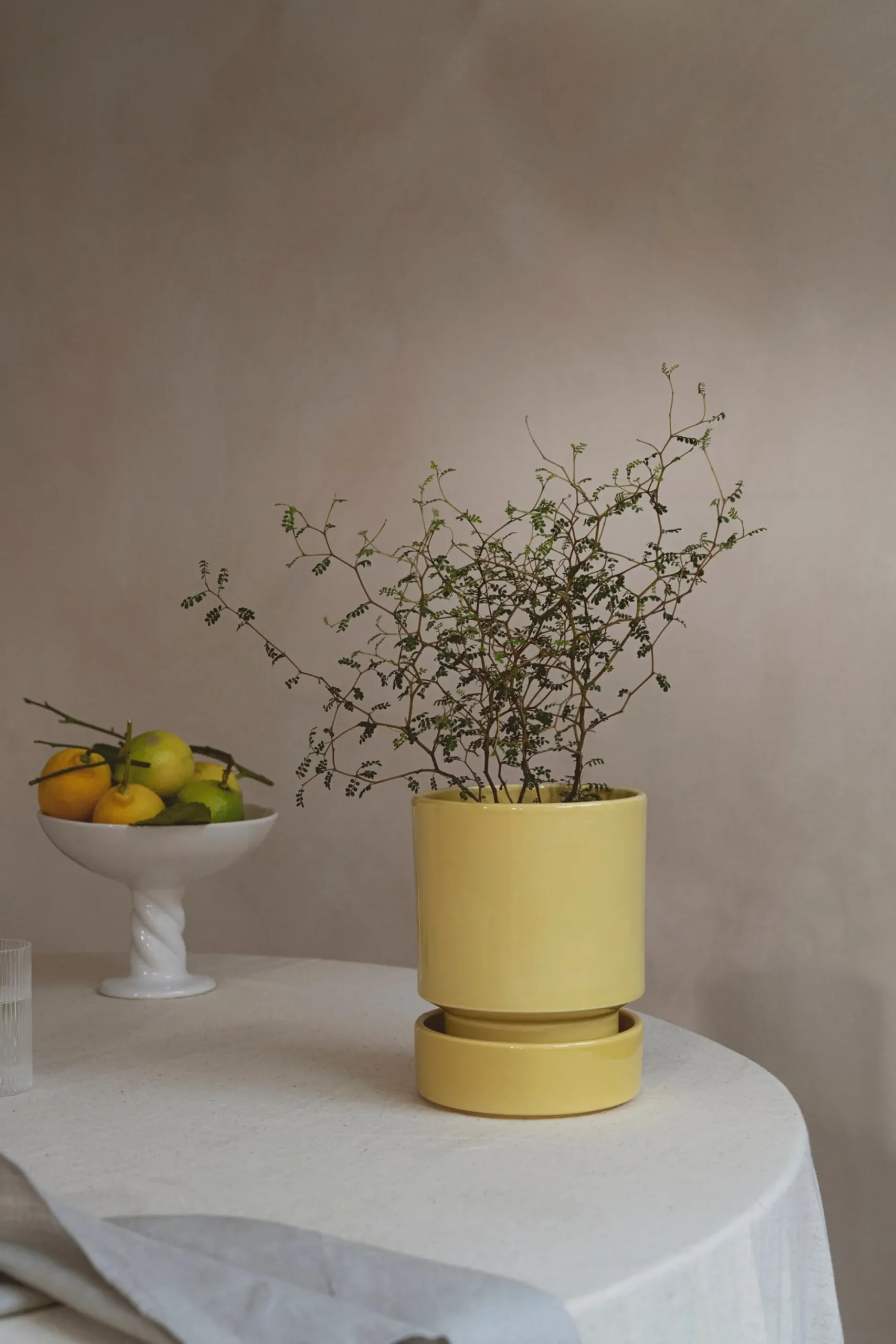PLANT Hoff krukke, glaseret, Pale Yellow Discount