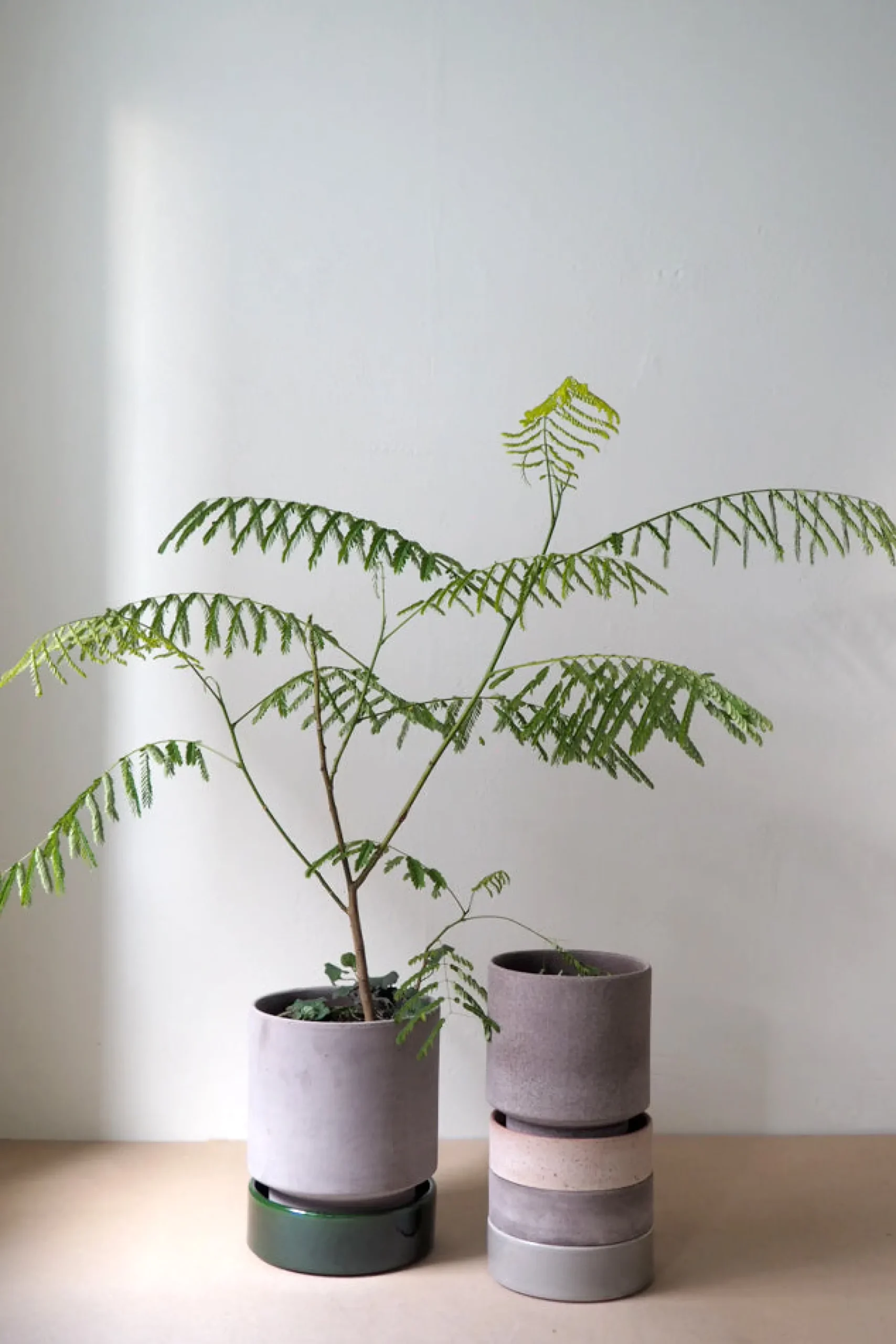 PLANT Hoff krukke, raw grey Online