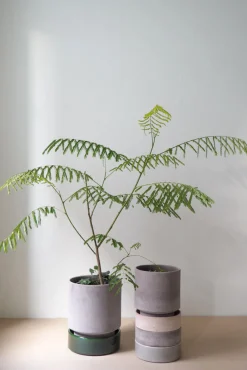 PLANT Hoff krukke, raw grey + grøn underskål, gulvkrukke