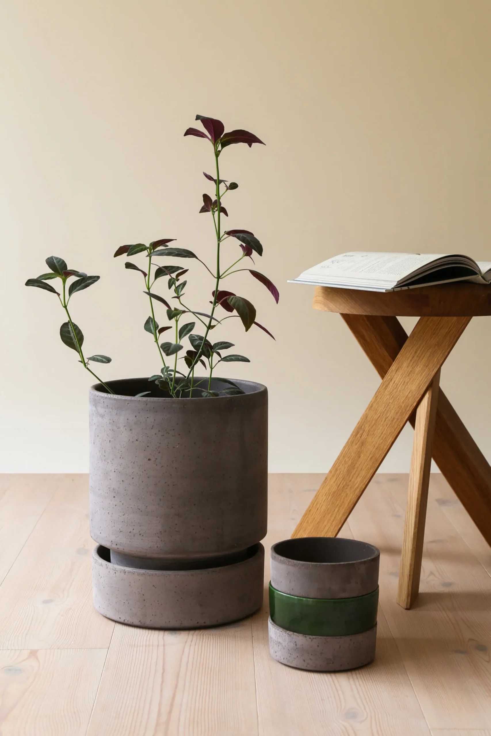 PLANT Hoff krukke, raw grey + grøn underskål, gulvkrukke