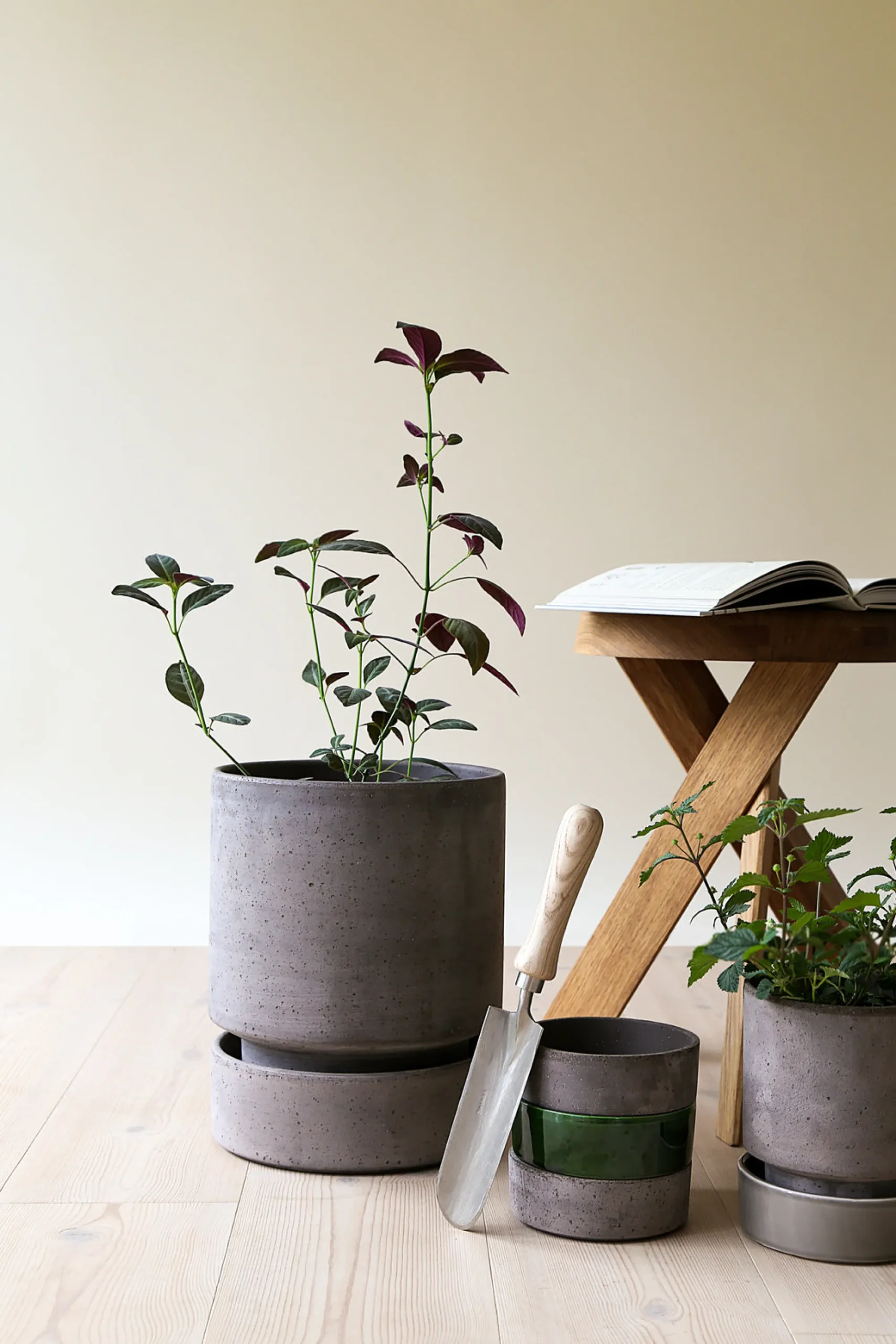 PLANT Hoff krukke, raw grey + raw grey underskål Online
