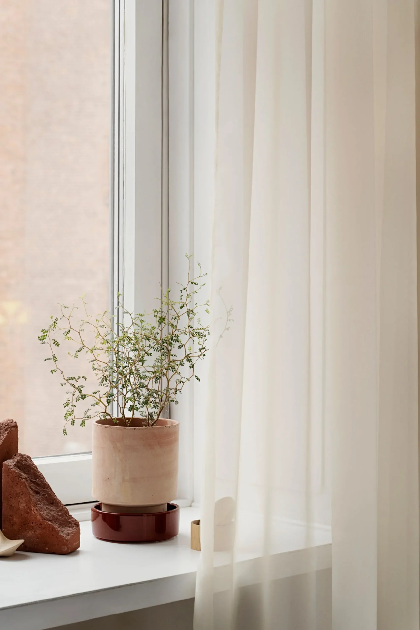 PLANT Hoff krukke, raw rosa + Burgundy underskål Outlet