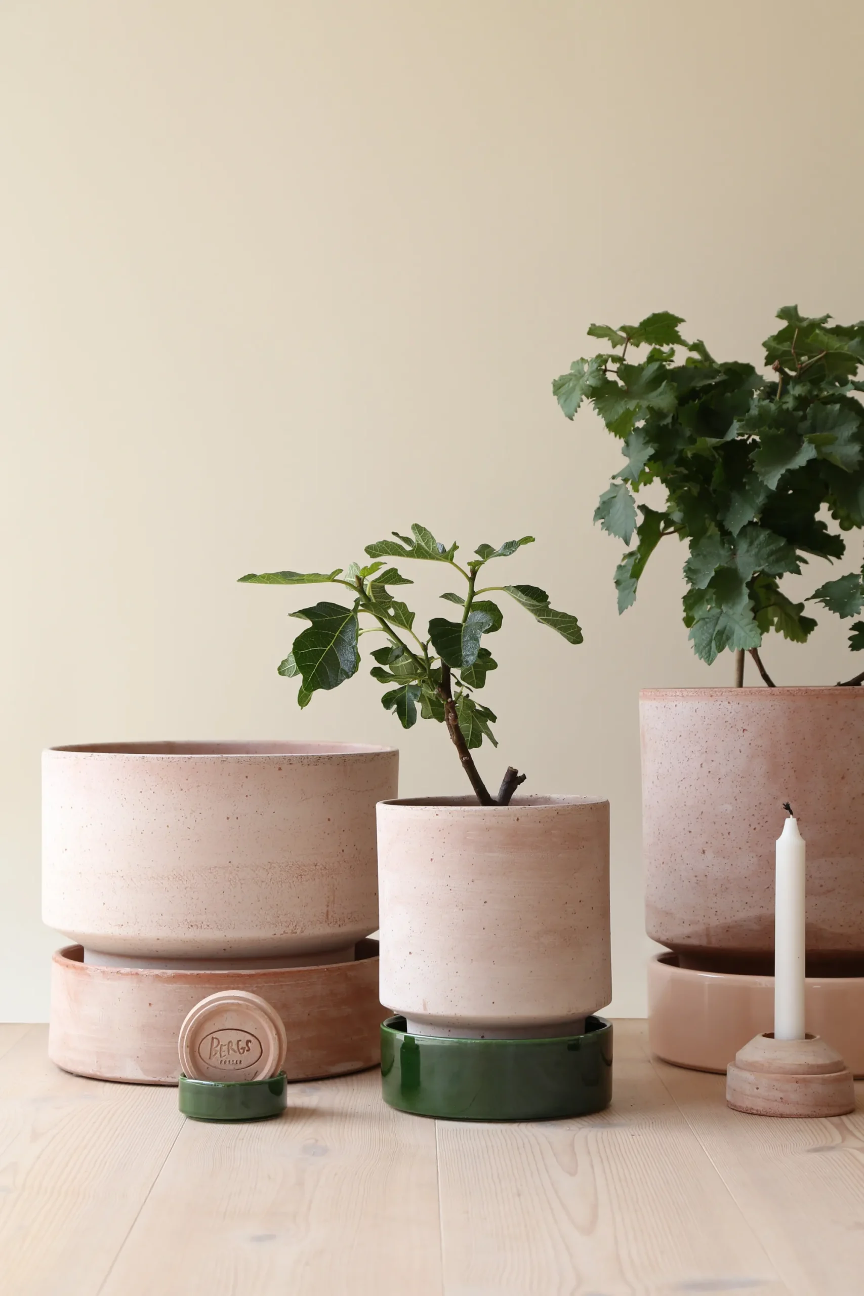 PLANT Hoff krukke, raw rosa + grøn underskål, gulvkrukke Outlet