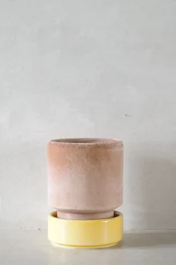 PLANT Hoff krukke, raw rosa + Pale Yellow underskål Clearance