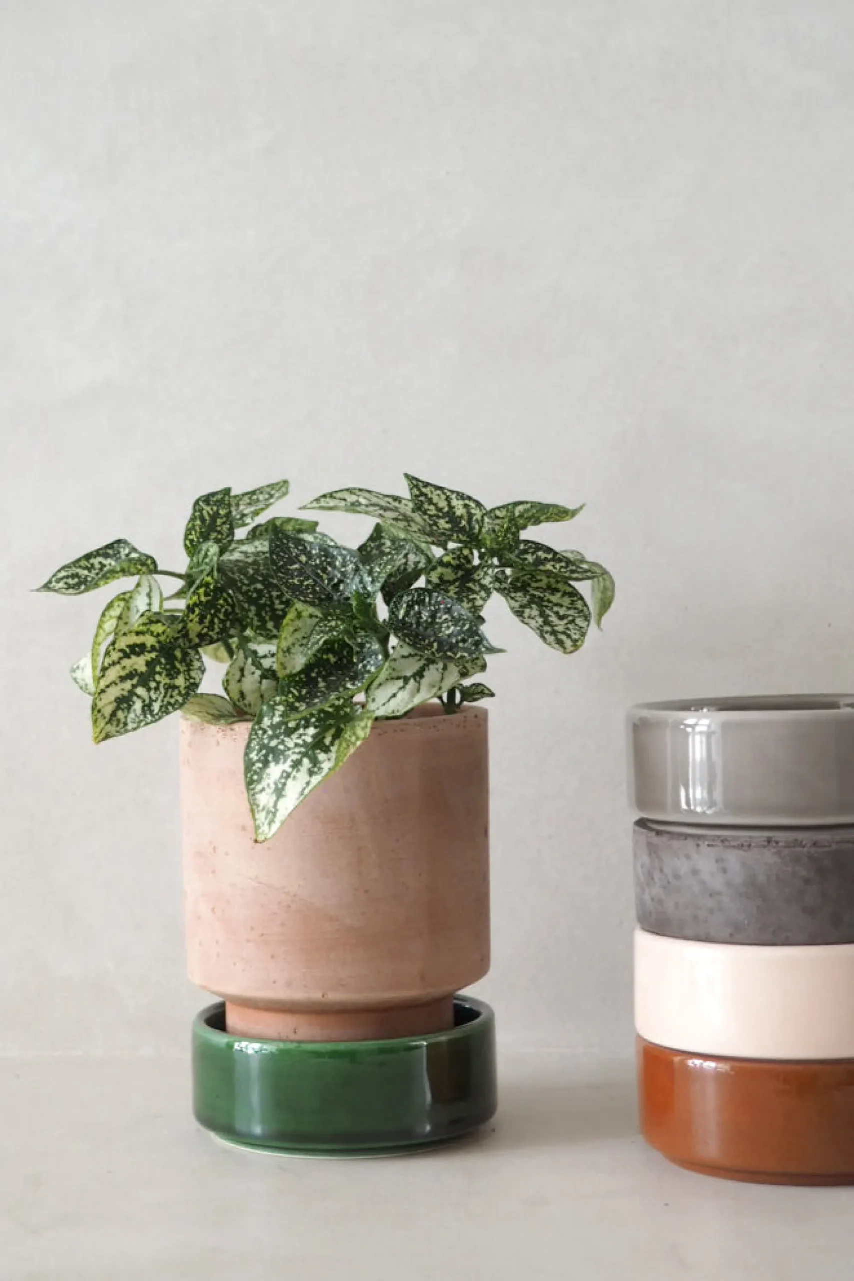 PLANT Hoff krukke, raw rosa + raw grey underskål New