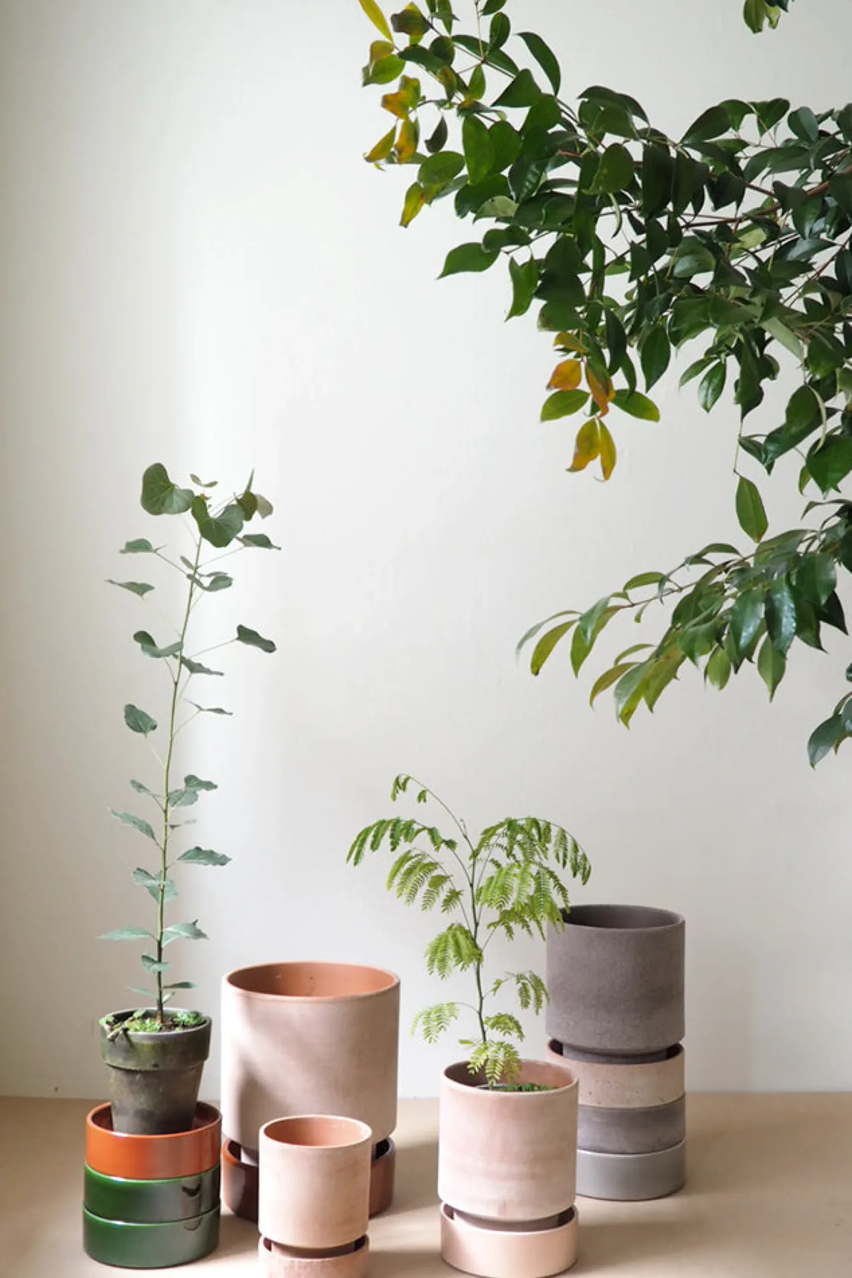 PLANT Hoff krukke, raw rosa + rosa underskål