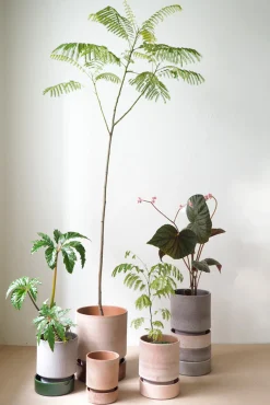 PLANT Hoff krukke, raw rosa + rosa underskål, gulvkrukke Clearance
