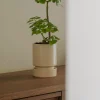 PLANT Hoff krukke, Sandstone Sale
