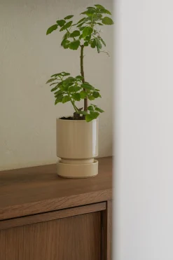 PLANT Hoff krukke, Sandstone Sale