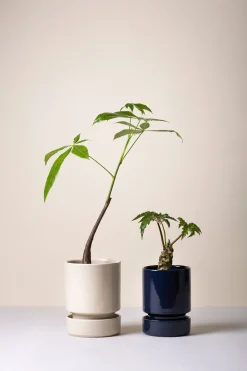 PLANT Hoff krukke, Sandstone Sale