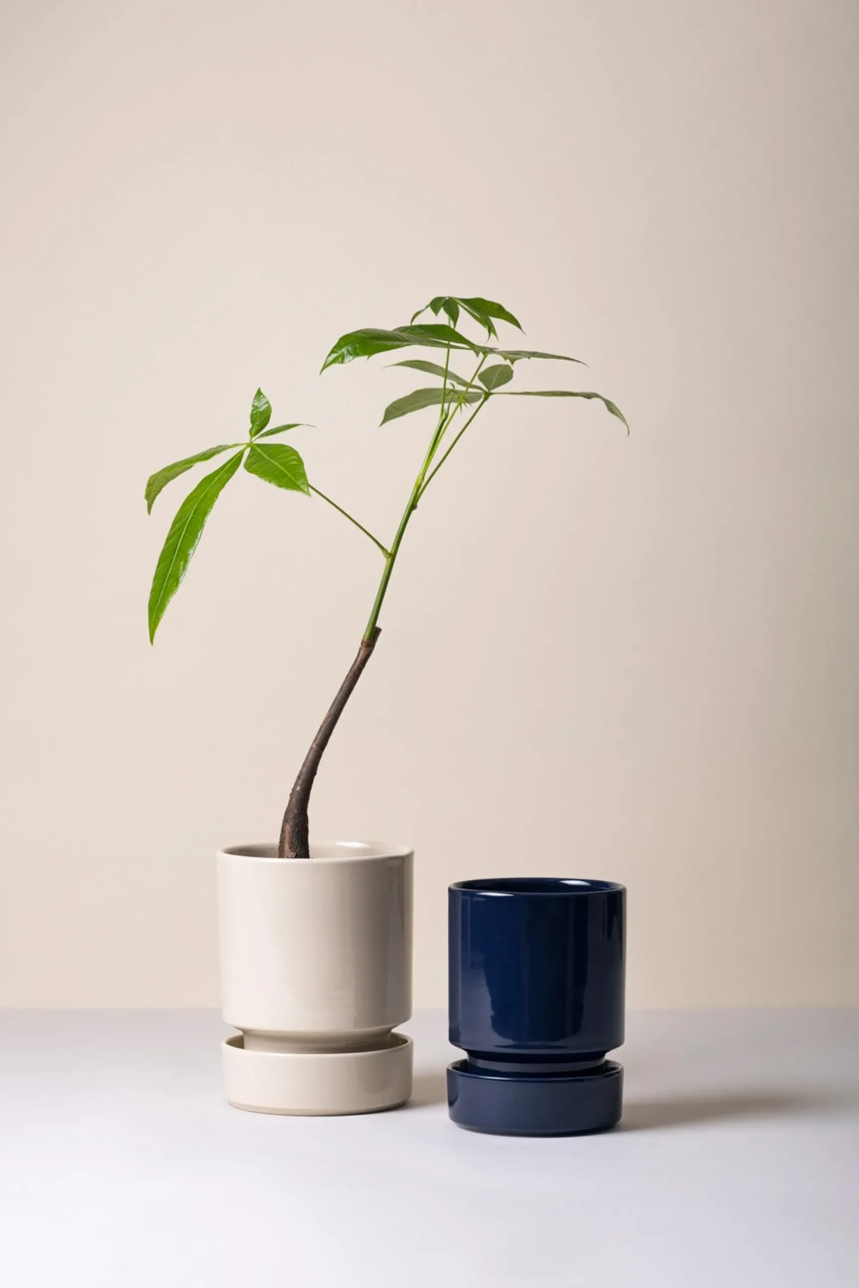 PLANT Hoff krukke, Sandstone Sale