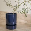 PLANT Hoff krukke, Sapphire Blue New
