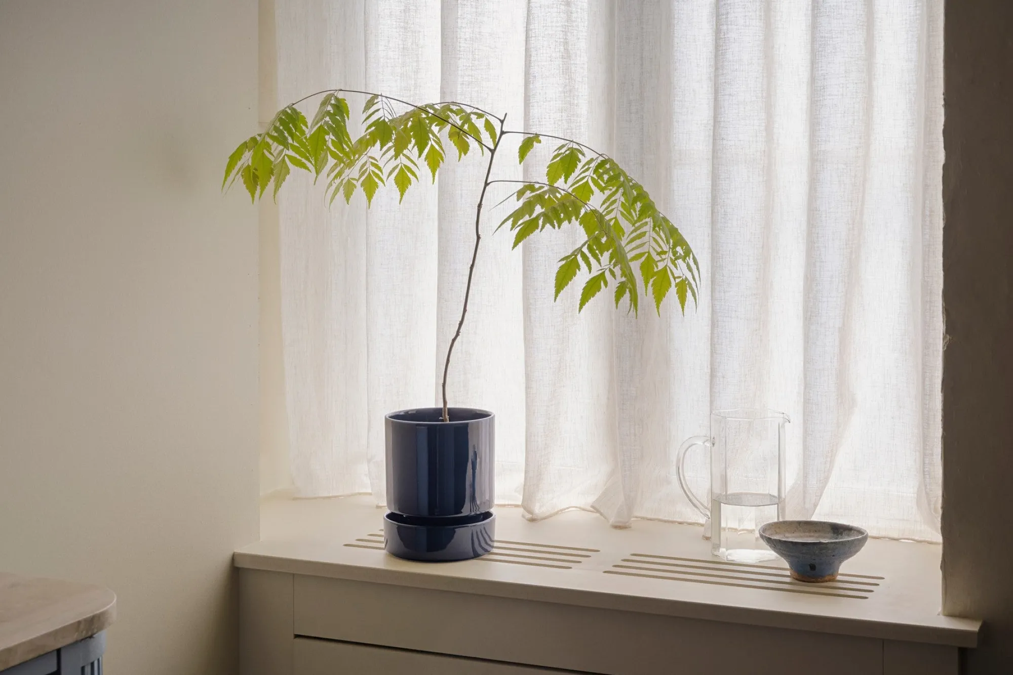 PLANT Hoff krukke, Sapphire Blue New