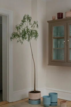 PLANT Hoff underskål, glaseret Misty Blue Discount