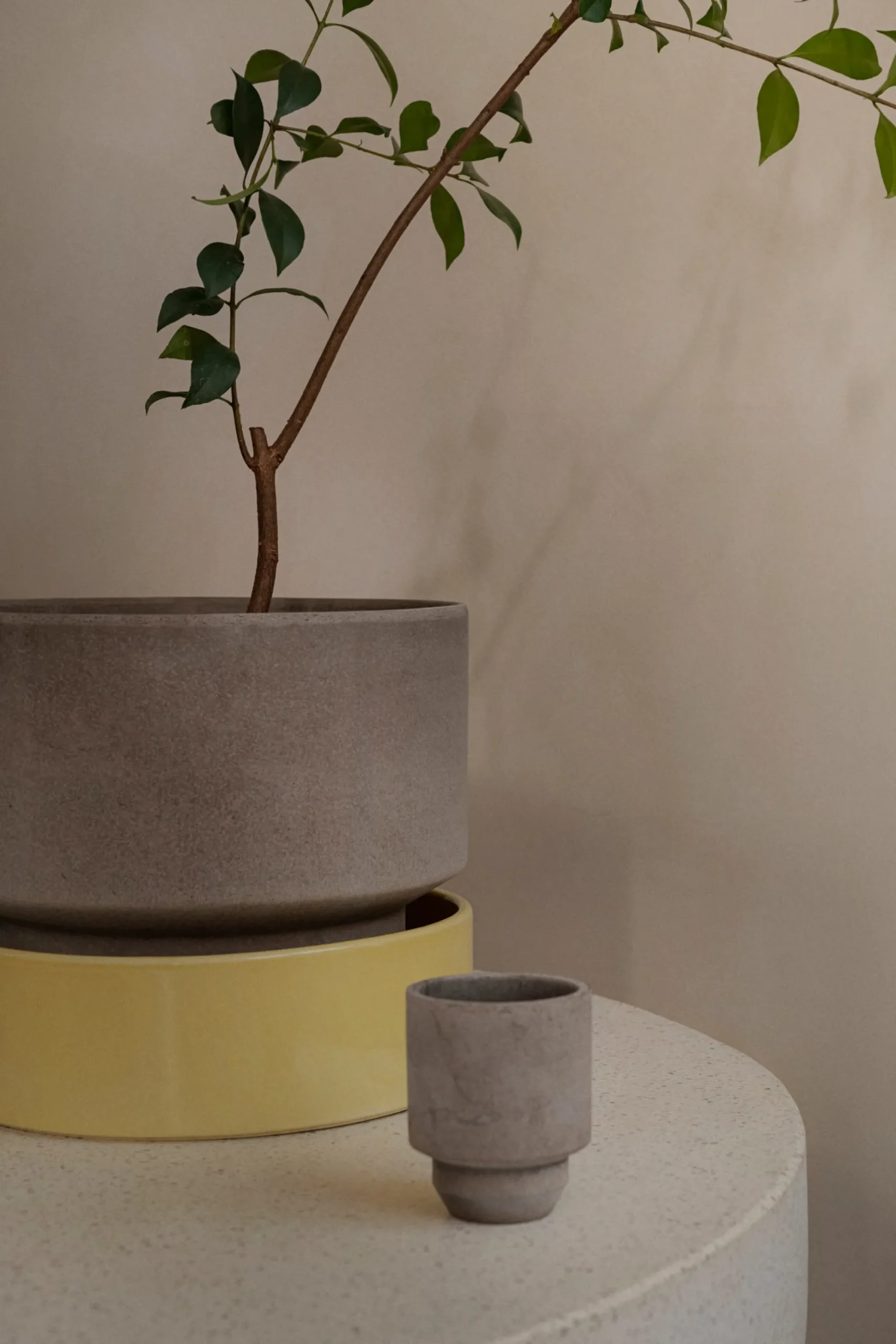 PLANT Hoff underskål, glaseret Pale Yellow Hot