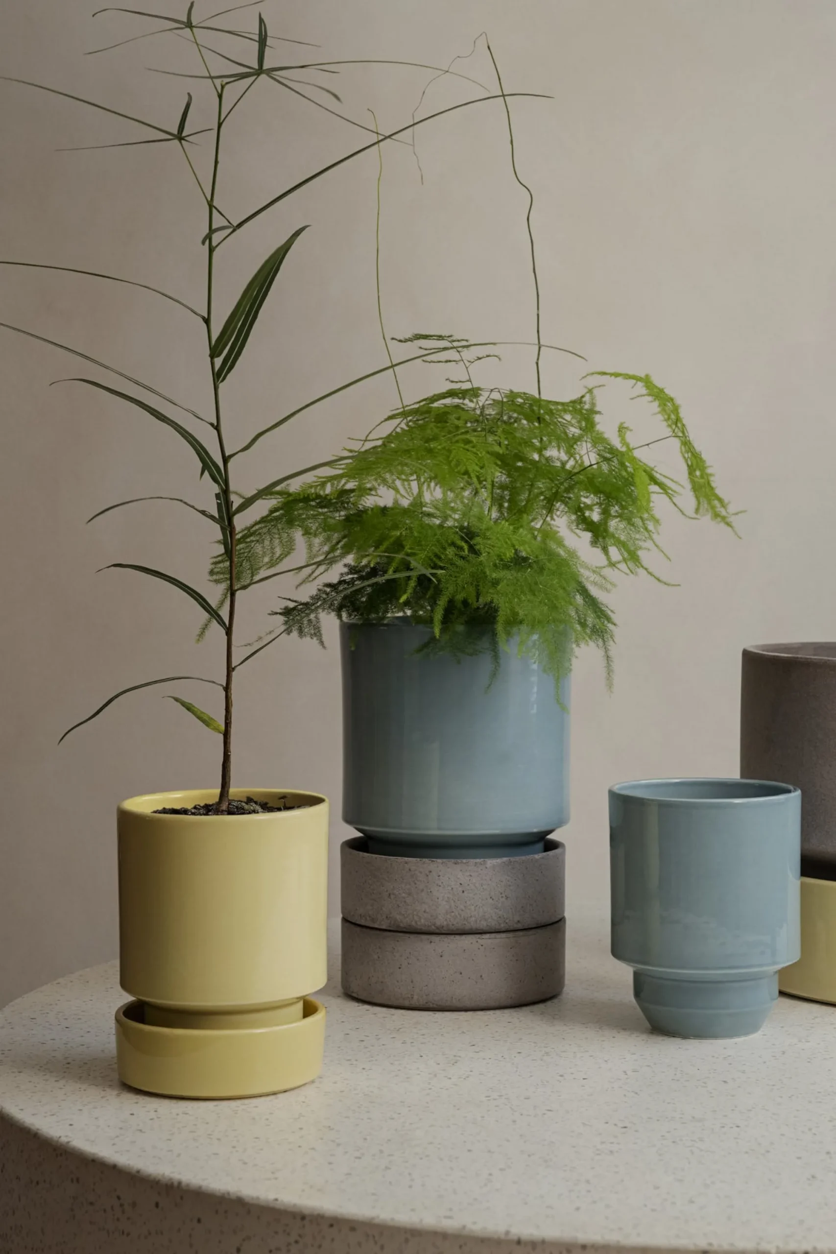 PLANT Hoff underskål, glaseret Pale Yellow Hot