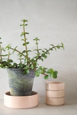 PLANT Hoff underskål, glaseret rosa Hot